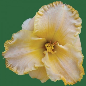 Senegal