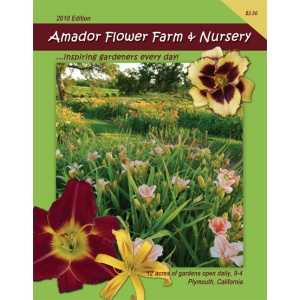Catalog