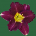 Super Purple