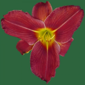 Living Flame