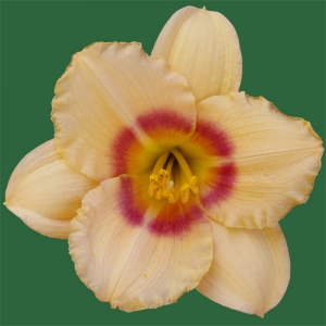 Siloam Virginia Henson