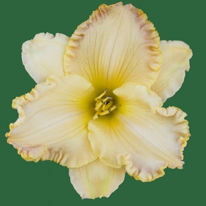 Praying for Miracles*