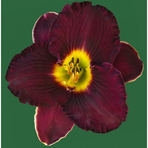 Prince Charming Returns