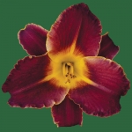 Pete Elerbee Memorial*