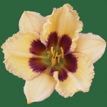 If