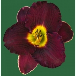 Prince Charming Returns