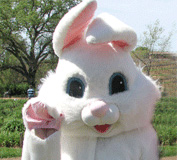 Easter  Bunny Visit and Egg Hunt