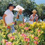 Grandparent’s Day at the Farm
