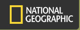 ng-logo
